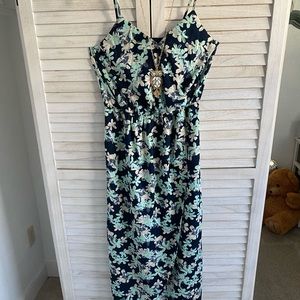 Banana Republic Size 4 Petite Maxi Dress
